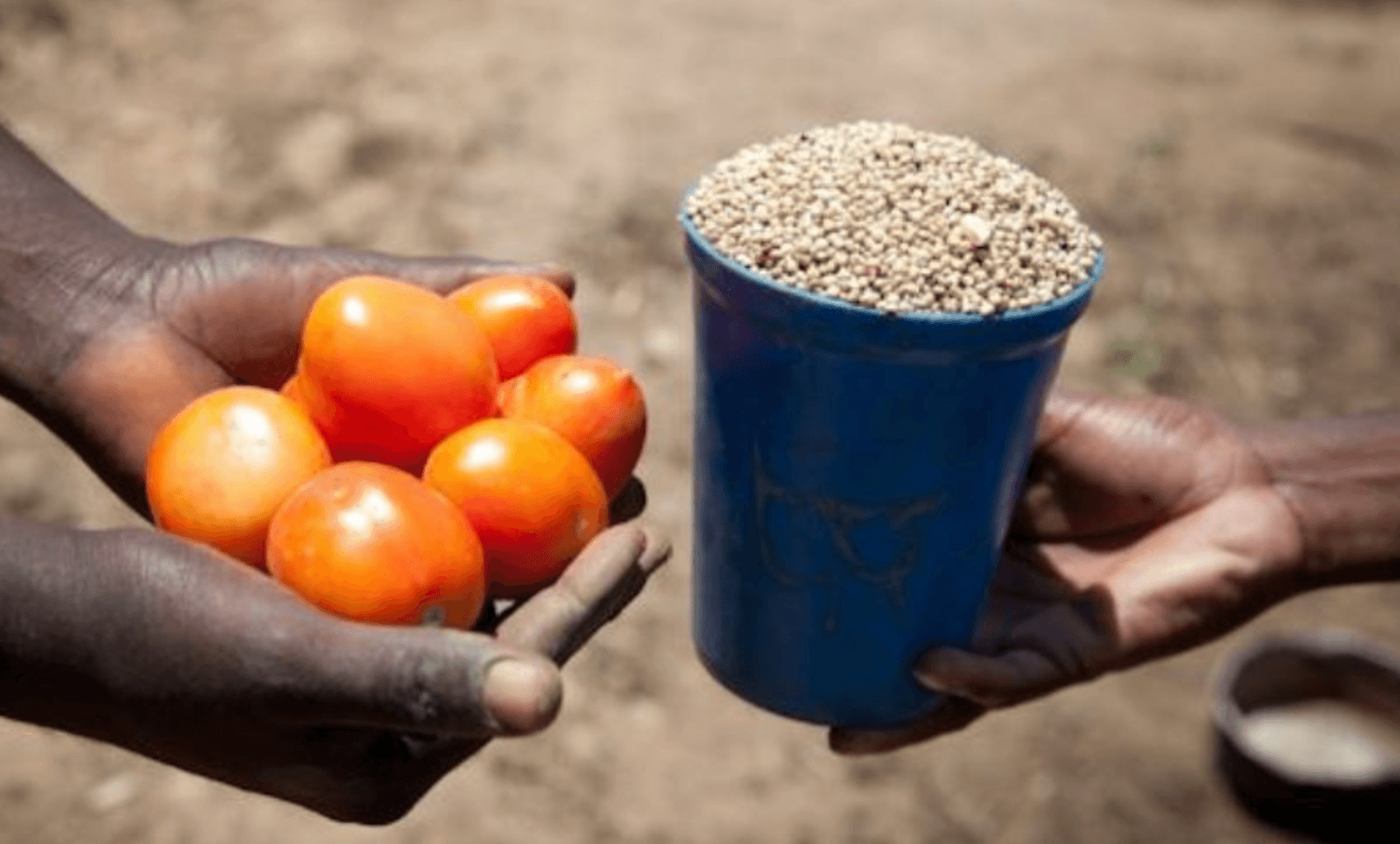 قاعة ما قبل النقود: المقايضة